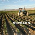 Punjab_Farm-1024-078