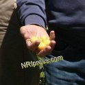 SAMRA_FARM-209