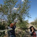 SAMRA_FARM-216