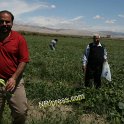 SAMRA_FARM-219