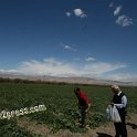 SAMRA_FARM-229