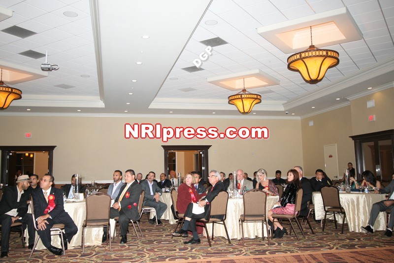 DGP.Gill-039