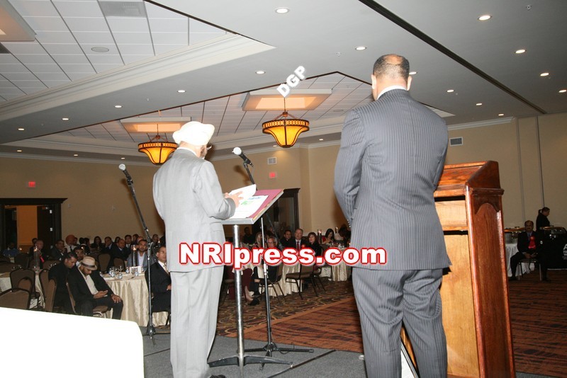 DGP.Gill-040