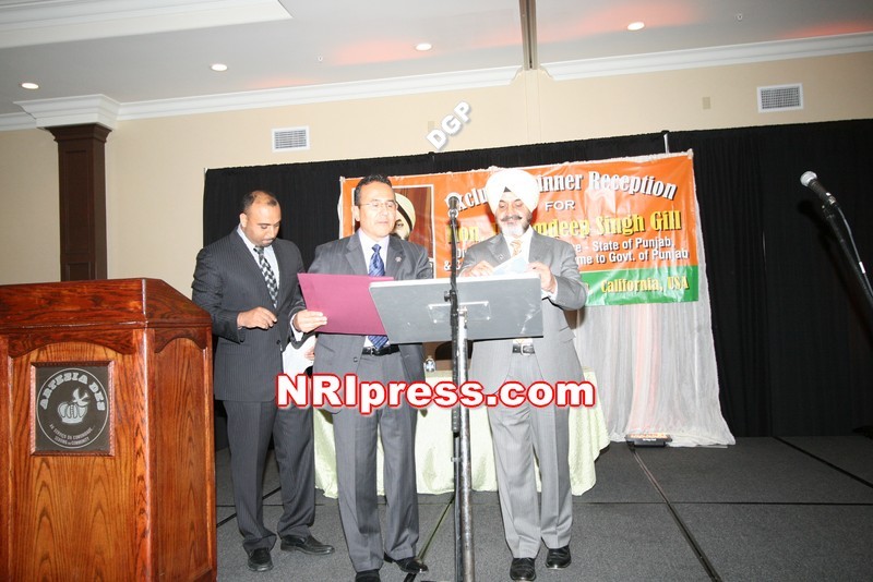 DGP.Gill-070