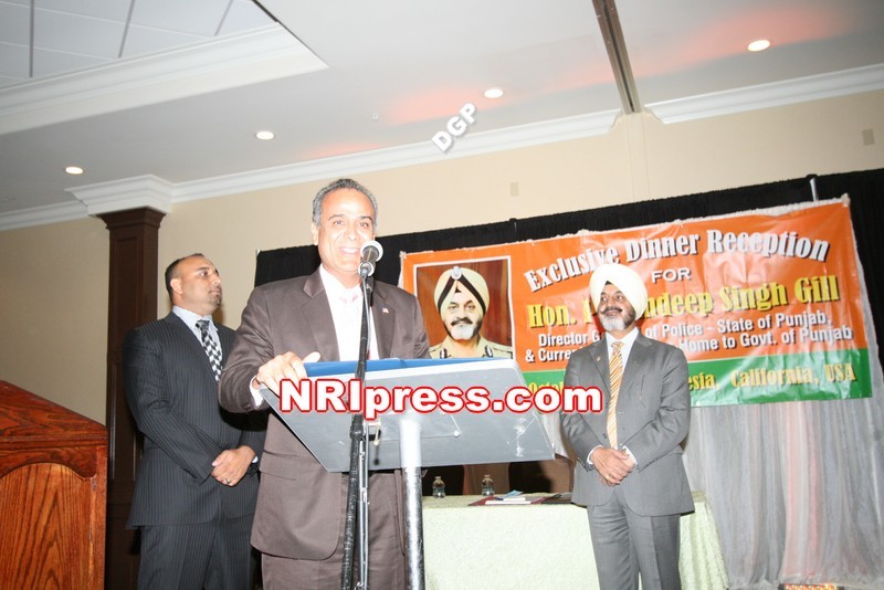 DGP.Gill-087