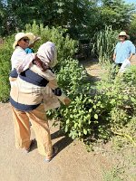 PHOTO-2025-07-16-11-39-28_1