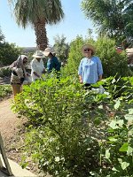 PHOTO-2025-07-16-11-39-29